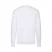 Толстовка мужская без начеса "Lightweight Set-in Sweat", белый, L, 80% х/б 20% полиэстер, 240 г/м2