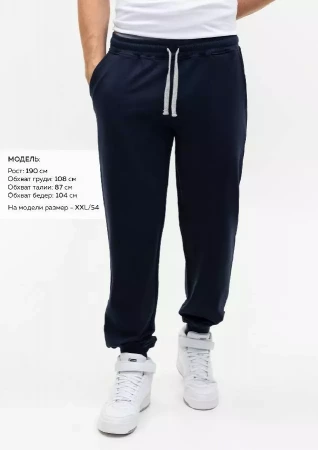 Брюки мужские STAN футер без начёса, 260, 62, Тёмно-синий,  (46)  (56/XXXL)