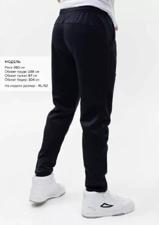 Брюки мужские STAN полиэстер, 260, 94, Тёмно-синий,  (46)  (52/XL)