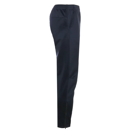 Брюки мужские STAN полиэстер, 260, 94, Тёмно-синий,  (46)  (50/L)