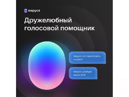 Умная колонка VK Капсула с голосовым помощником Марусей, черный