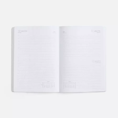 Ежедневник Basis, датированный, зеленый