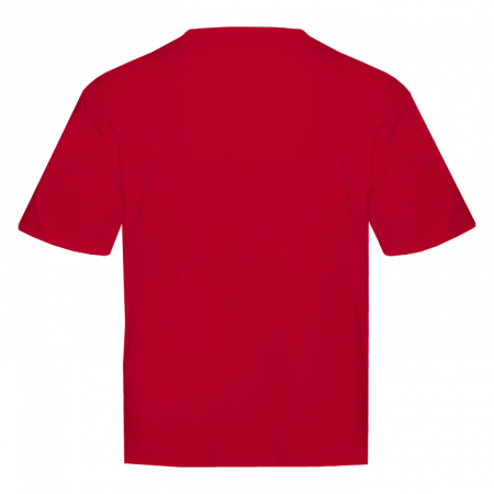 Футболка унисекс оверсайз STAN хлопок 240, 56, Красный,  (14)  (56/XXXL)