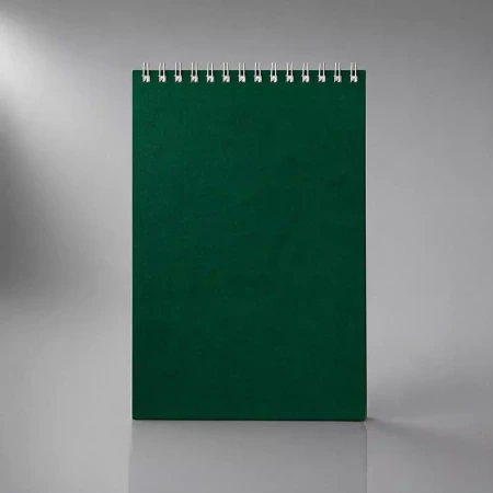 Бизнес - блокнот Альт А5 (127 х 198 мм) Office 60 л., зеленый